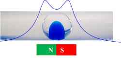 Magnetofluidics